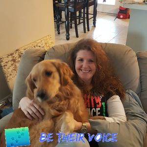 Meet your Posher, Maryi